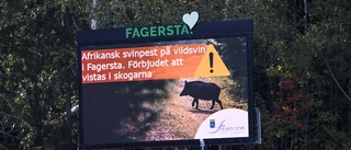 Kärnområdet för svinpest ska stängslas in