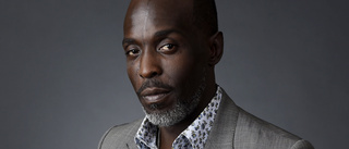 Man döms till tio år för Michael K Williams död