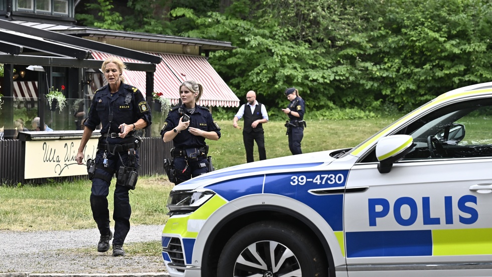 Flera hästar som norrbottningen äger skenade på Djurgården i Stockholm i somras. En man i 70-årsåldern fick livshotande skador och mannen från länet åtalas nu för grovt vållande till kroppsskada och framkallande av fara för annan. (Arkivbild)