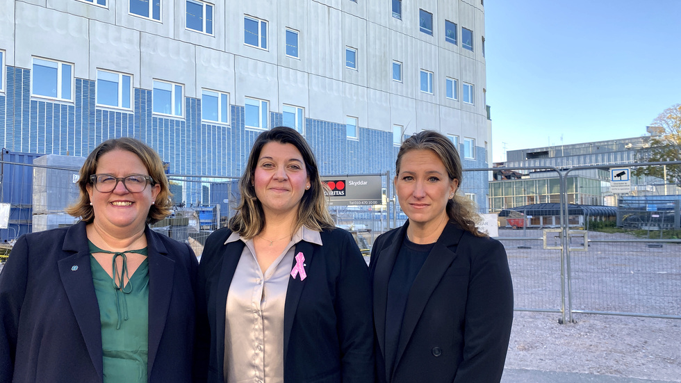 Karin Helmersson (C), Angelica Katsanidou (S), och Lena Granath (V) summerar 2023 i Region Kalmar län och lyfter fram det de ser som ljuspunkter i mörkret.