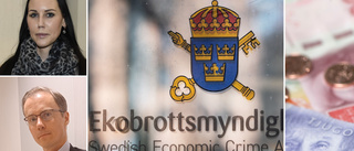 Skellefteföretagare anklagas för grov ekonomisk brottslighet 