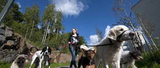 Självklart konkurrens – men på lika villkor! 