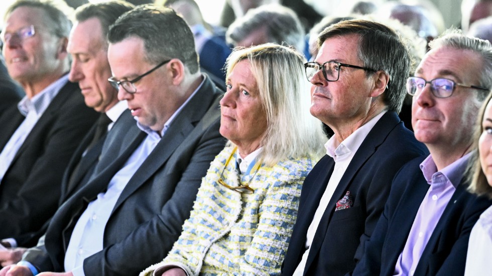 Alectas ordförande Ingrid Bonde slutar. Arkivbild.