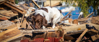 Efter stora branden – här söker polisen med hund