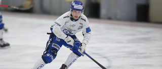 RÖSTA: Vem var matchens lirare i IFK Motala mot Sandviken?