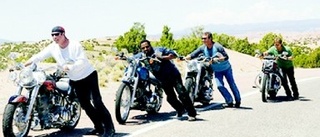 Wild Hogs