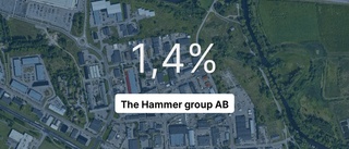 The Hammer group AB har ökat personalstyrkan rejält