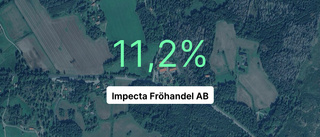 Impecta Fröhandel AB fortsätter växa