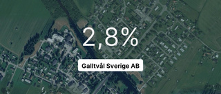 Intäkterna fortsätter växa för Galltvål Sverige AB