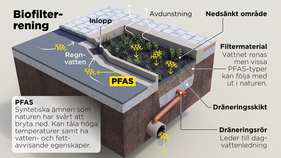 Vid biofilterrening samlas regnvatten upp och får rinna genom ett biofilter, av till exempel sand. Smuts och föroreningar blir kvar i filtret innan vattnet så småningom rinner ut i naturen.
