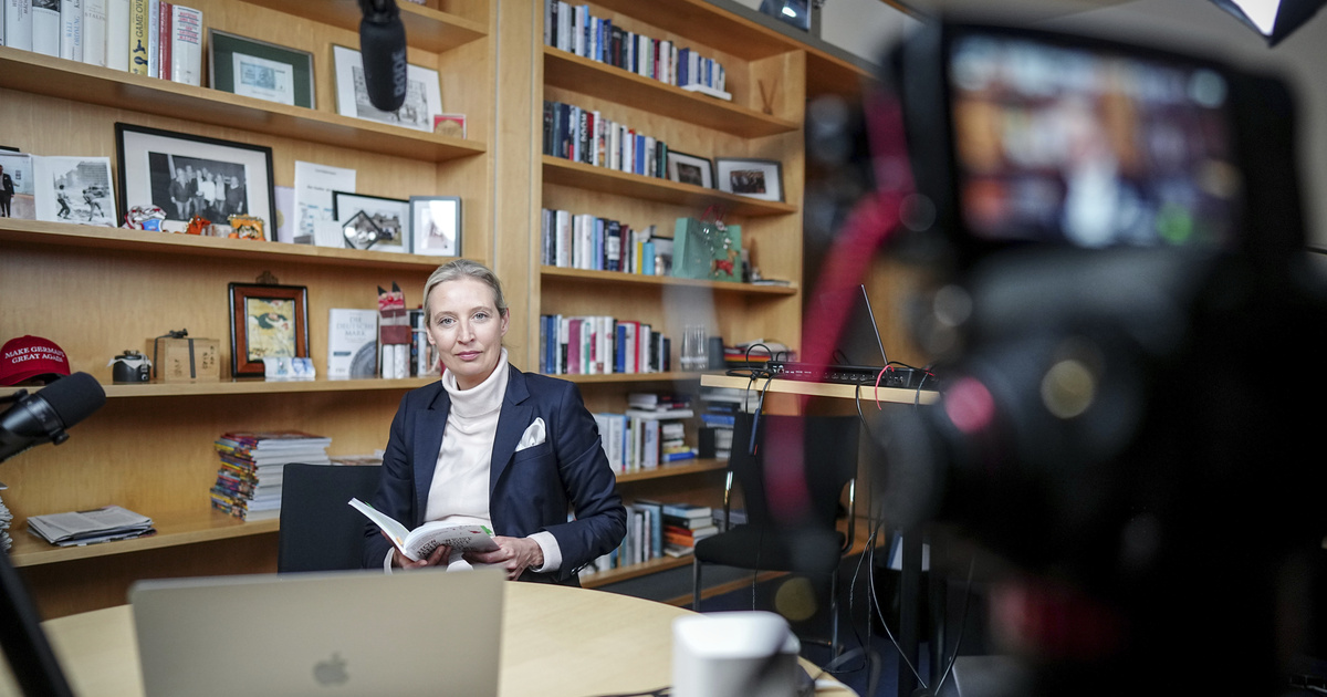 Tyska extremhögern lyftes i samtal med Musk på X