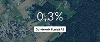 Golvteknik i Luleå AB: Nu är redovisningen klar – så ser siffrorna ut