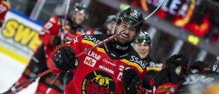 Luleå över ett streck, Brynäs under ett annat