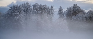 Samtal med januari på farstutrappan