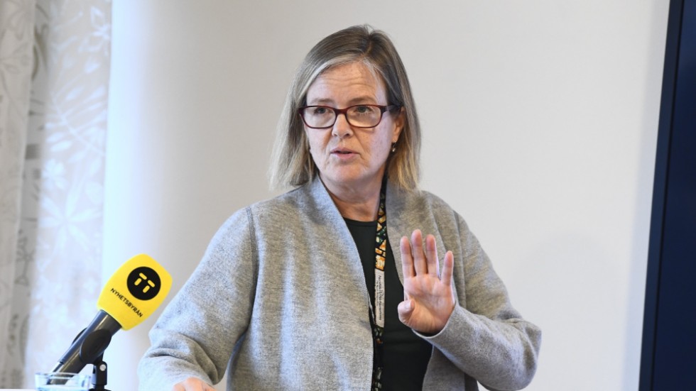 Sidas generaldirektör Carin Jämtin. Arkivbild.