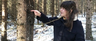 Godegårdsskogarna inspirerade Elin till hennes första bok