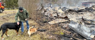 Ägaren efter storbranden: "Älgarna gick och gömde sig"