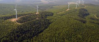 Striden om vindkraftsparken fortsätter