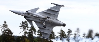 Gripen nödlandade efter fågelkollision 