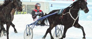 Hästarna visade fin form - då fick Salmela en trevlig dag på jobbet