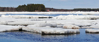 Lugn islossning i Torneälven