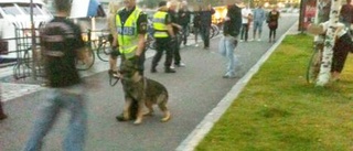 Oenigt bland krögare i kampen mot gängen