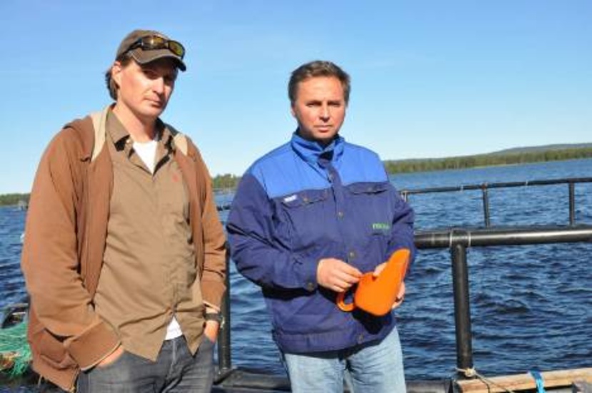 Andreas Broman och Micael Granström konstaterar att stora mängder odlad fisk i det vilda beståndet orsakar problem.FOTO: Lotta Nilsson