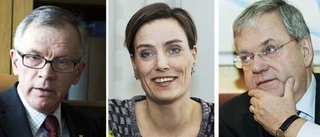 De argumenterade för en migrationsdomstol