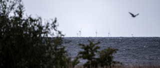 Omställningen handlar om en hållbar framtid