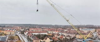 Här slogs ett nytt rekord i Vasaparken