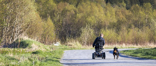 Uterullstolar kan komma in i värmen