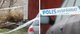 Polisen avslöjar – så gick hundattacken till • Döda kvinnan i 60-årsåldern • Hunden av rasen amstaff: ”Så här agerar inte en frisk hund”