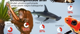 Utan åtgärder står världen inför massutrotning