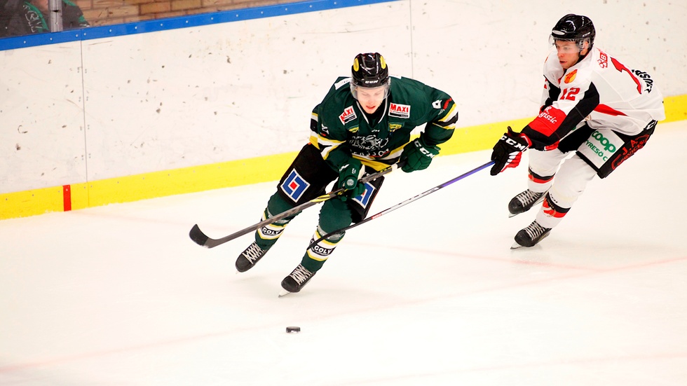 Edwin Günther och hans ESK Hockey spelar i vårserien från slutet av december fram till februari.