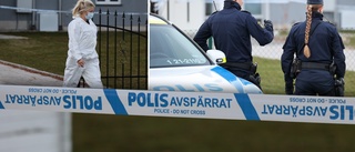 Mannen har häktats för mordet på vårdboendet