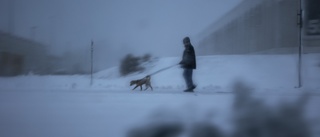 Mer snö under dagen – men lågtrycket mattas av