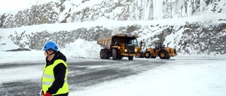 Gruvjätten tvingas böta 100 000 kronor