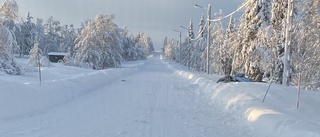 Man i 45-årsåldern anhållen för mord i Norrbotten – efter intensiv spaning • Polisen: "Någon form av skärande våld"