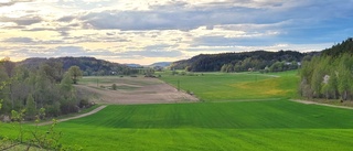 Naturskyddsföreningen säger nej till vindkraft i Uknadalen