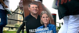 Missa inte stenarna i det partiet, Andersson