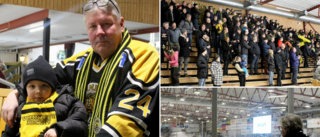 Hockeyfeber! Supportrarna spådde vinst – och fick rätt