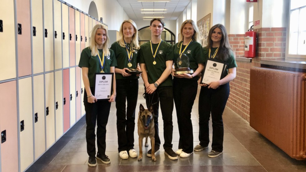 Ur juryns motivering: UF-företaget uppfyller alla kriterier och har en helhet med stor potential. Idéen föddes ur ett behov och eleverna har lärt känna sin målgrupp väl. Fifth Paw består av Olivia Ladenberg, Nathalie Tillgren, Gabriel Ohlsson, Agnes Eriksson och Julia Trägårdh.