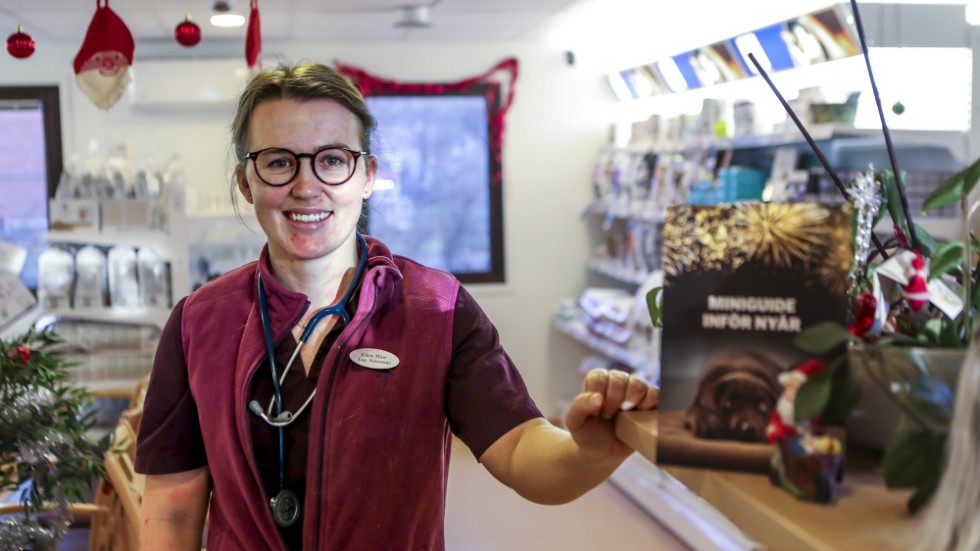 Veterinären Ellen Thor lider med djuren som är rädda när nyårsraketerna smäller. Hon berättar att det finns en hel del man kan göra för att underlätta nyårsfirandet för våra husdjur. 
