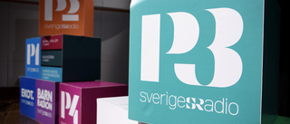 Försvara public service