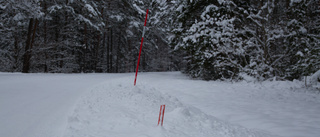 ”Denna galenskap med snöpinnar och lekfulla ungdomar”