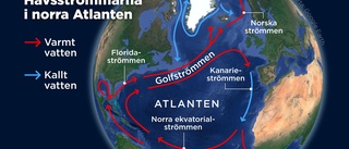 Forskare varnar för kollaps av Golfströmmen