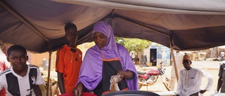 Frankrike drar in bistånd till Niger