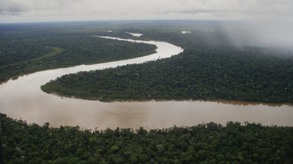 Floden Itacuaí rinner genom delstaten Amazonas i Brasilien. Varje år absorberar regnskogen ungefär 430 miljoner ton kol, vilket motsvarar åtta gånger så mycket som Sveriges utsläpp.