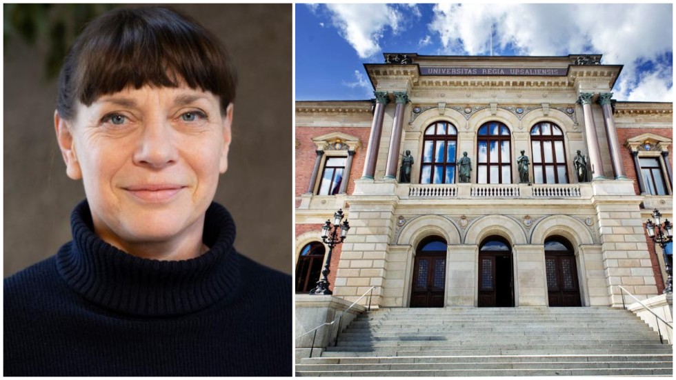 Ann Steiner är professor i litteratursociologi på Uppsala universitet. Hon är särskilt intresserad av bokmarknaden och är tydlig med vad hybridförlagen innebär: "De är en slags egenutgivning där författaren kan köpa olika utgivningstjänster. Det är föfrattaren som är kunden, inte läsaren."