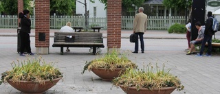 Byt ut blommorna på torget